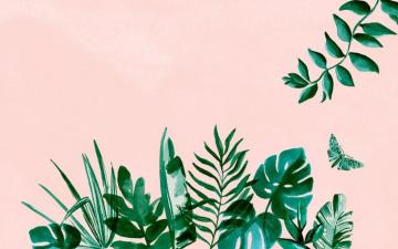 Aesthetic Laptop Wallpaper Desktop