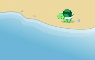 Animal Turtle Wallpaper