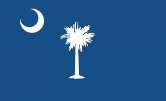 The Way I Did Here S South Carolina Flag