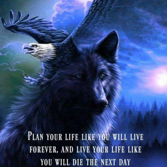 Angela Edwards On Quotes Sayings Wolf Photos