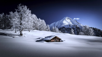 Winter Wonderland Wallpaper