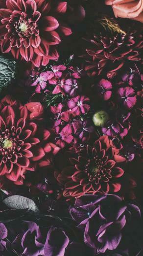 Pretty Wallpaper For Your New iPhone Xs Max Floral