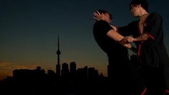 Wing Chun HD Wallpaper Image Amp Pictures Becuo