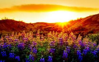 Sunset Computer Wallpaper Desktop Background Id