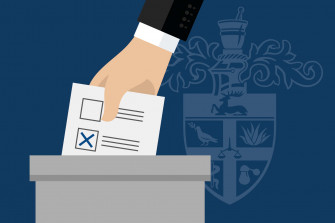 Election Background With Voters And Flags Wallpaper