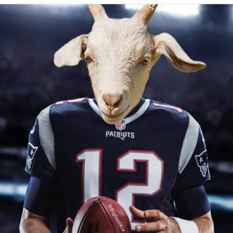 Tom Brady Goat Wallpaper