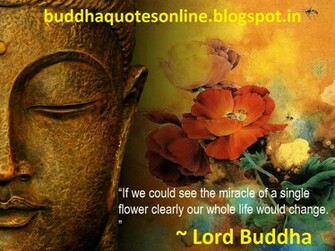 Buddha HD Wallpaper Quotes