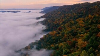 HDtv High Definition Full HD 1080p Wallpaper