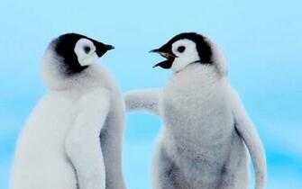 Cute Penguin Background