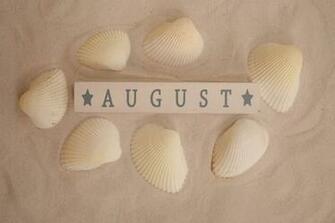 HD Wallpaper August Summer Daylight Saving Time Sink Beach