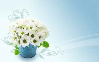 Wallpaper Background Light Blue Background Computer White Flowers