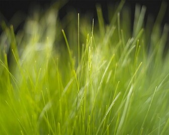Vista Wallpaper Photos
