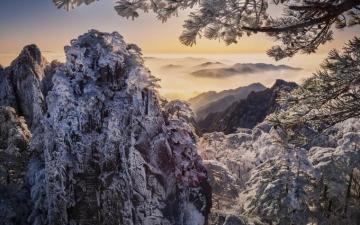 Wallpaper China Winter Snowy Branches Beautiful