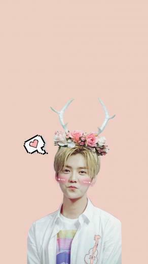 Luhan Wallpaper Top Background