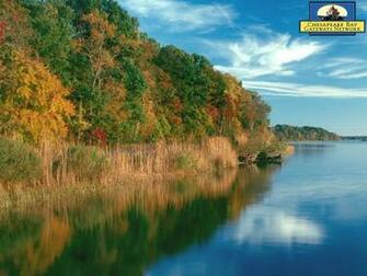 Chesapeake Bay Wallpaper