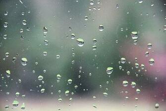 April Showers Wallpaper