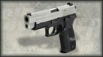 P226 Diamond Plate