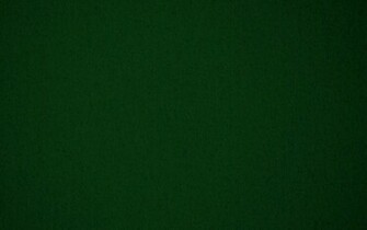 Forest Green Textured Background Speckled Paper