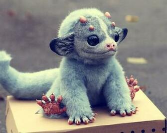 Cute Monster HD Wallpaper Daily Background In