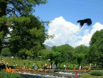 All Kashmir Wallpaper Mykashmir50 Mykashmir53