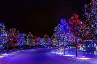 Wallpaper City Night Park Road Trees Illumination Snow Winter