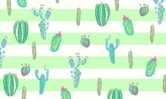 Cactus Wallpaper And Background Image Net