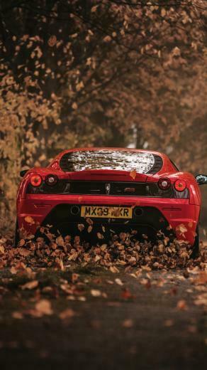 Vehicles Ferrari F430 Wallpaper Id