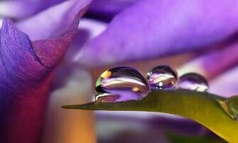 Bigger Water Drop HD Live Wallpaper For Android Screenshot