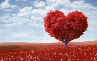 Red Field And Tree Heart Shaped HD Wallpaper
