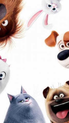The Secret Life Of Pets Phone Wallpaper