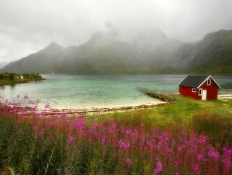 Nature Red Wallpaper Flowers Grass House