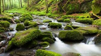 Webshots Monbach Valley Black Forest Baden Wurttemberg Germany