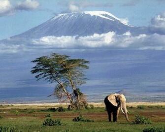 Mt Kilimanjaro HD Wallpaper In Nature Imageci