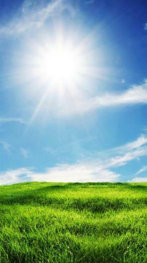 Nature iPhone Plus Wallpaper HD