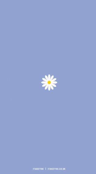 Cute Spring Wallpaper Ideas A Daisy For iPhone I