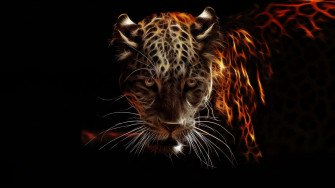Dark Animals Wallpaper