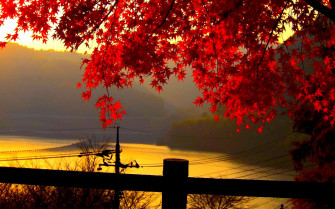 HD Fall Wallpaper Make Your Screen Shine Brighter