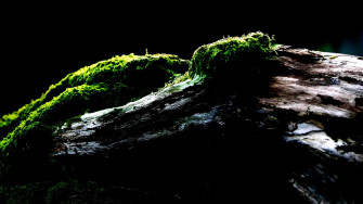 4k Oled Wallpaper For Desktop