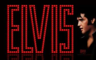 Pin Elvis Logo