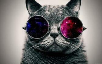 Cool Cat Is The Answer To Active Athlete S Weather Dilemma