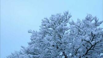 Cute Winter Wallpaper