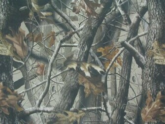 Source Url Smscs Photo Camo Html