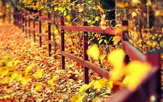 Autumn Leaves Falling Wallpaper
