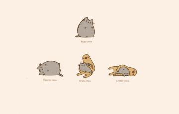 Wallpaper Cat Mood Humor Sloth Laziness Image For Desktop