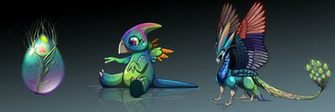 Dragon City Peacock Evolution By Ultimatetattts