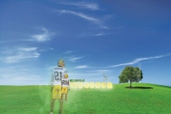 Charles Woodson Wallpaper By Szilu