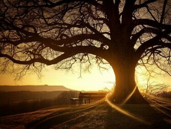 HD Wallpaper For Windows Desktop Background