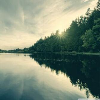 Pure Nature HD Wallpaper Gallery
