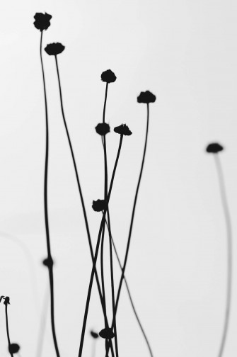 White Abstract Wallpaper