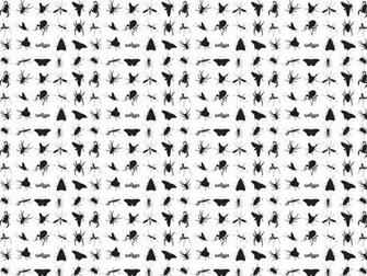 Bugs Smiggle Wallpaper
